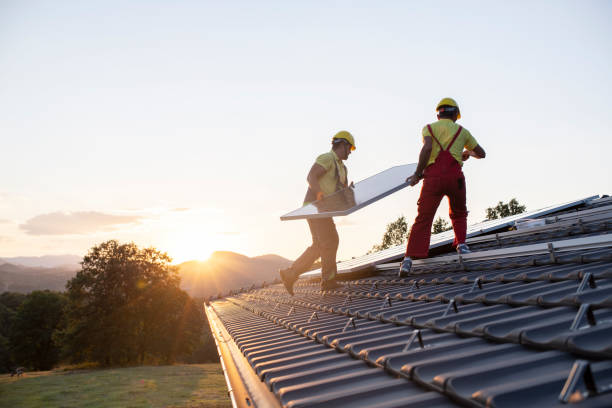 Best Roof Maintenance and Cleaning  in Trenton, IL